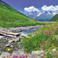 Alpentoppers Tirol